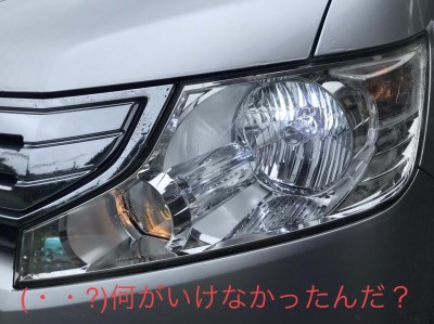 image1_10.jpeg